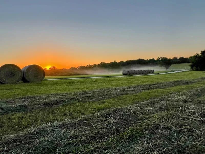View of Red Orchard Park in Shelbyville, KY