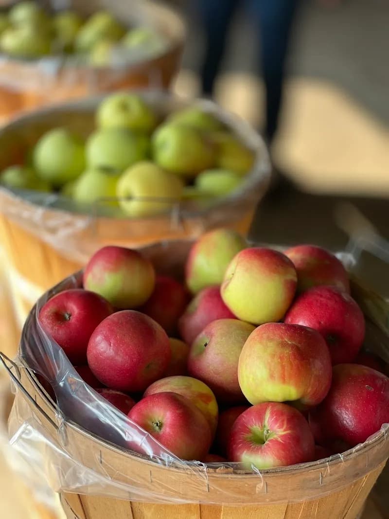 View of Rennie Orchards in Traverse City, MI