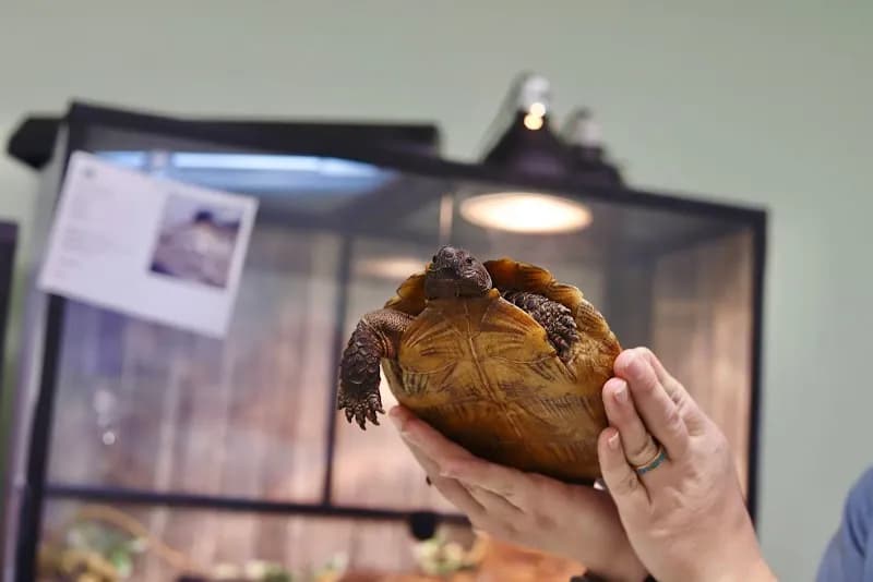 View of Reptile & Amphibian Center of the Rockies in Estes Park, CO