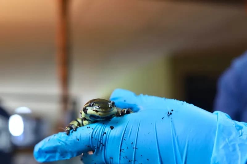 View of Reptile & Amphibian Center of the Rockies in Estes Park, CO