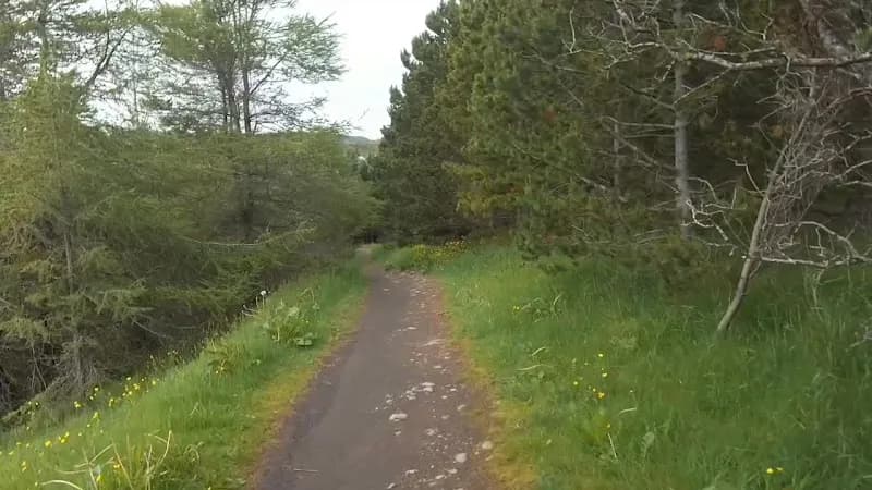 View of Reykjafoss Waterfall in Hveragerði, CR