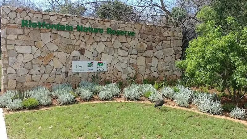 View of Rietfontein Nature Reserve in Sandton, GP
