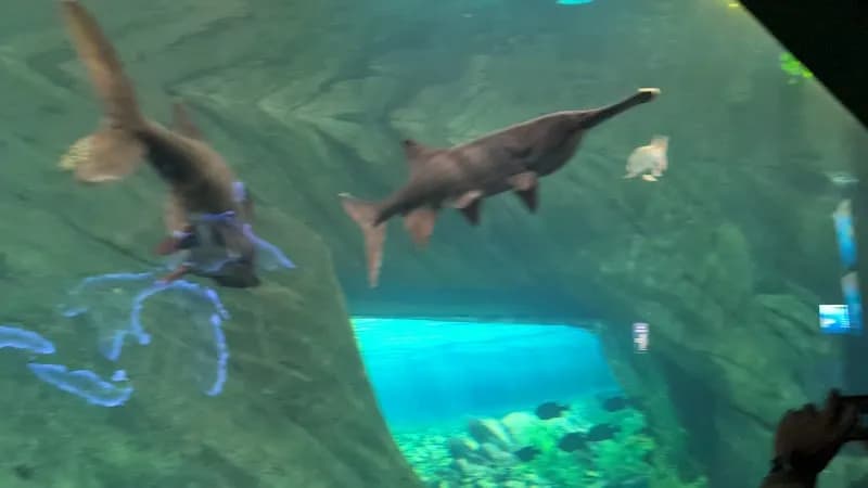 View of Ripley's Aquarium of Canada in Toronto, ON