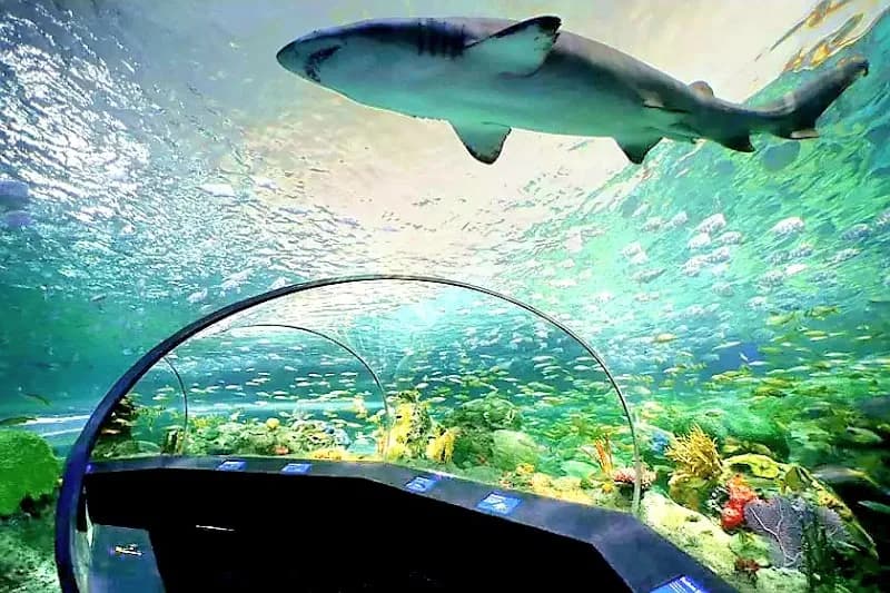 View of Ripley's Aquarium of Canada in Toronto, ON