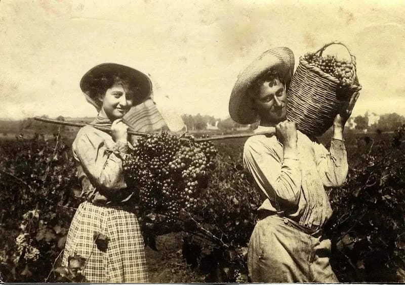 View of Rishon Lezion Museum in Rishon LeZion, TA