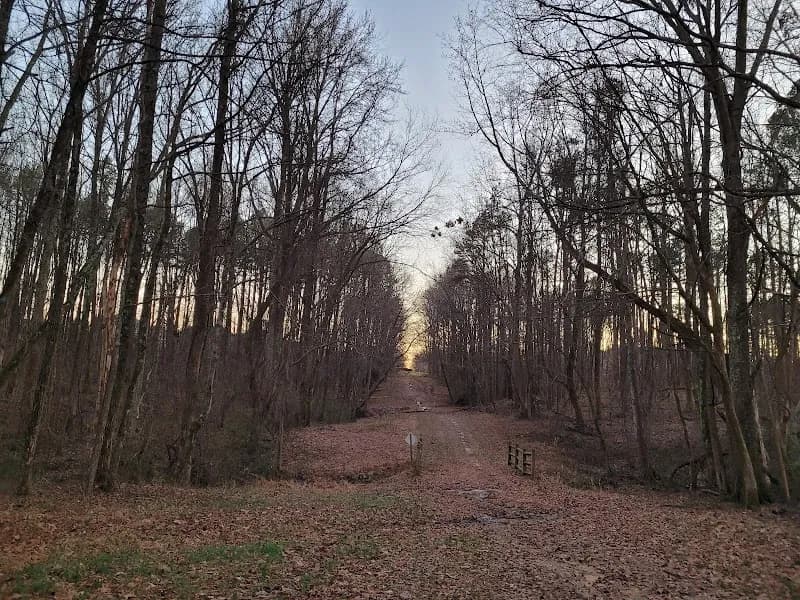 View of Robbins Park in Cornelius, NC