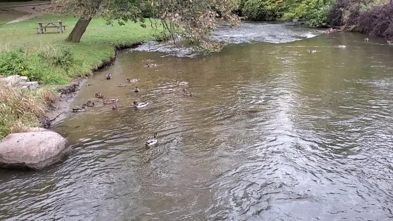 View of Rochester Municipal Park in Rochester, MI
