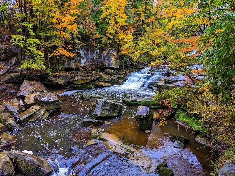 View of Rocky River Reservation in North Olmsted, OH