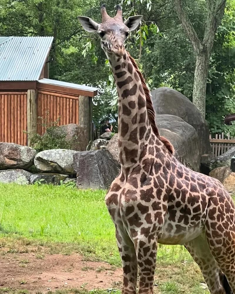View of Roger Williams Park Zoo in Providence, RI