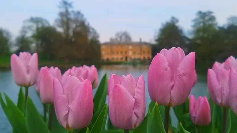 View of Royal Botanic Gardens, Kew in Kew, London