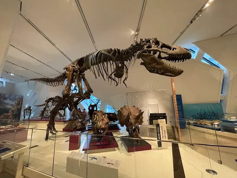 View of Royal Ontario Museum in Toronto, ON