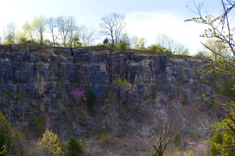 View of Ruffner Mountain in Birmingham, AL