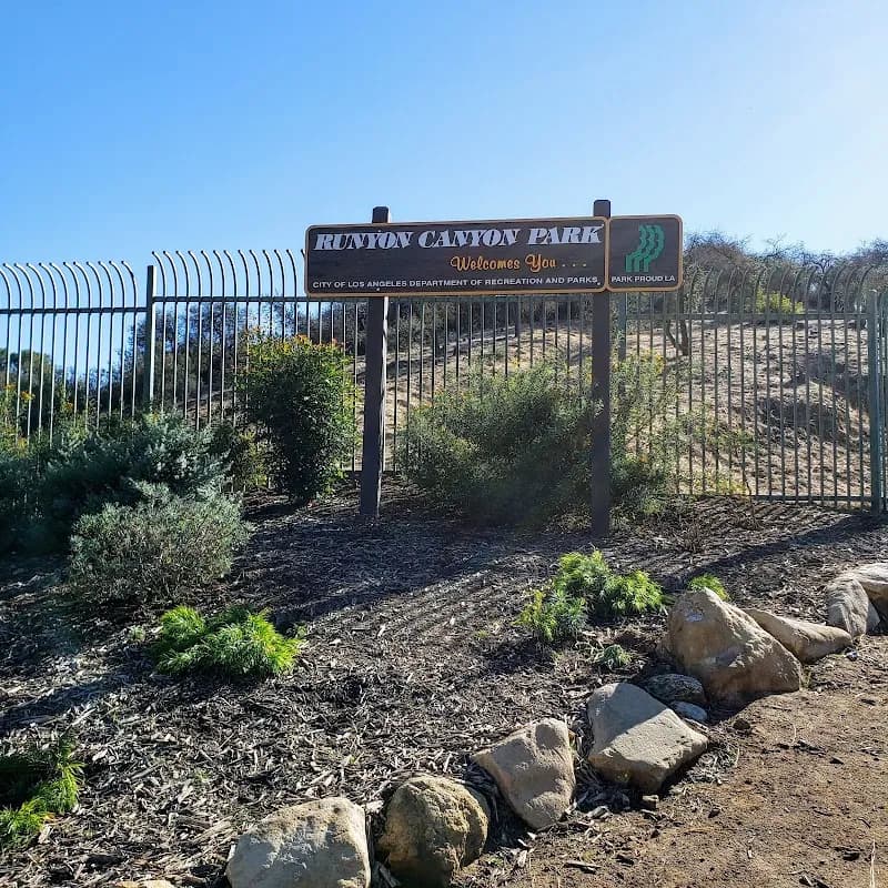 View of Runyon Canyon Park in Los Angeles, CA