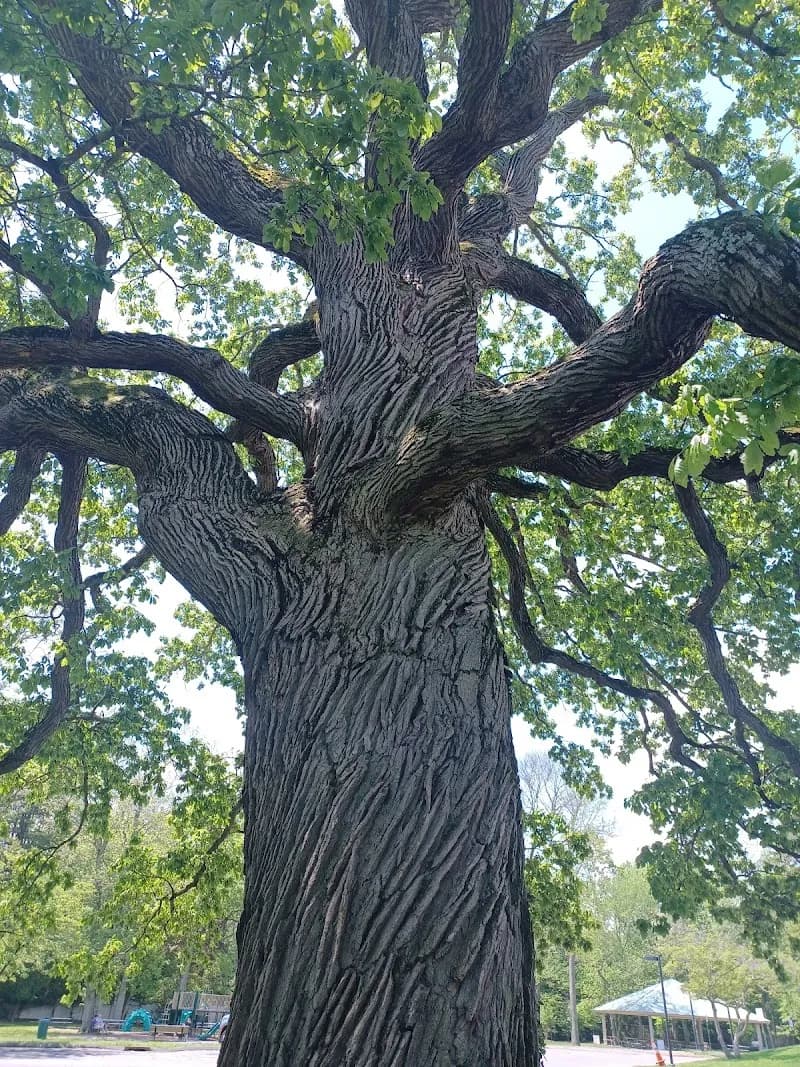 Rye Recreation park in Rye, NY