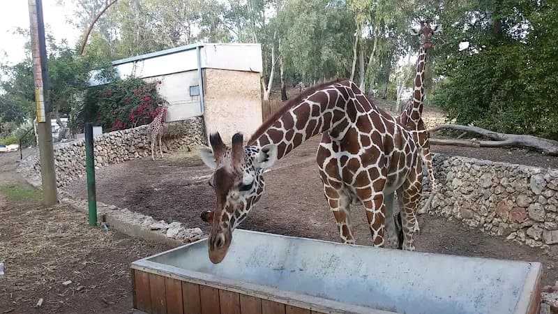 View of Safari in Ramat Gan, TA