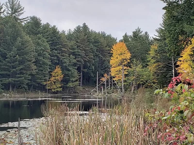 Salem NH Rail Trail nature preserve in Plaistow, NH