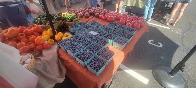View of Salem Saturday Market in Salem, OR
