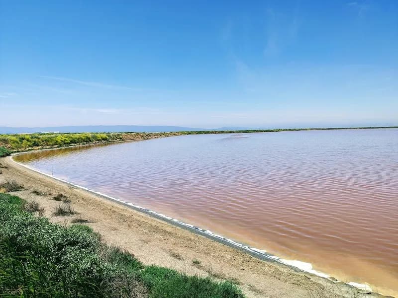 View of San Francisco Bay National Wildlife Refuge Visitor Center in Union City, CA