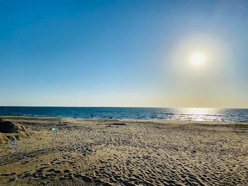 View of Sandbridge Beach in Pungo, VA