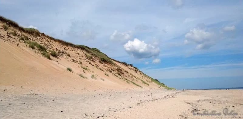 View of Sandy Neck Beach in Cape Cod, MA