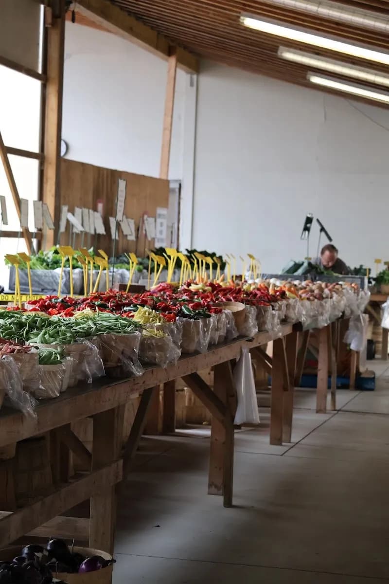 View of Sandy's Farm in Richmond Hill, ON