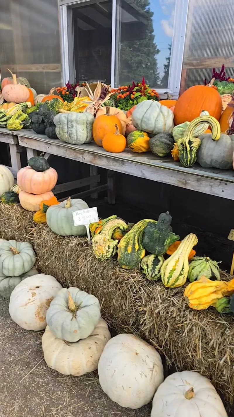 View of Sandy's Farm in Richmond Hill, ON