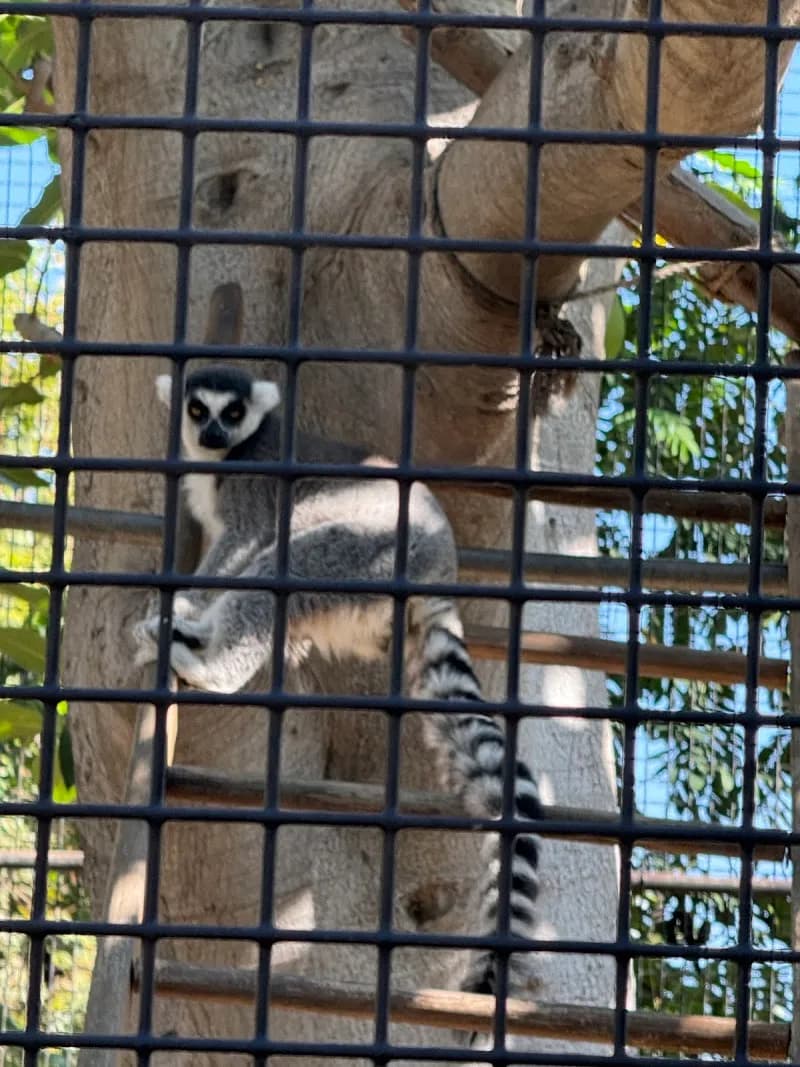 View of Santa Ana Zoo in Irvine, CA