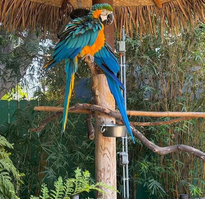 View of Santa Ana Zoo in Irvine, CA