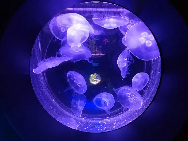 View of Santa Barbara Museum of Natural History Sea Center in Santa Barbara, CA