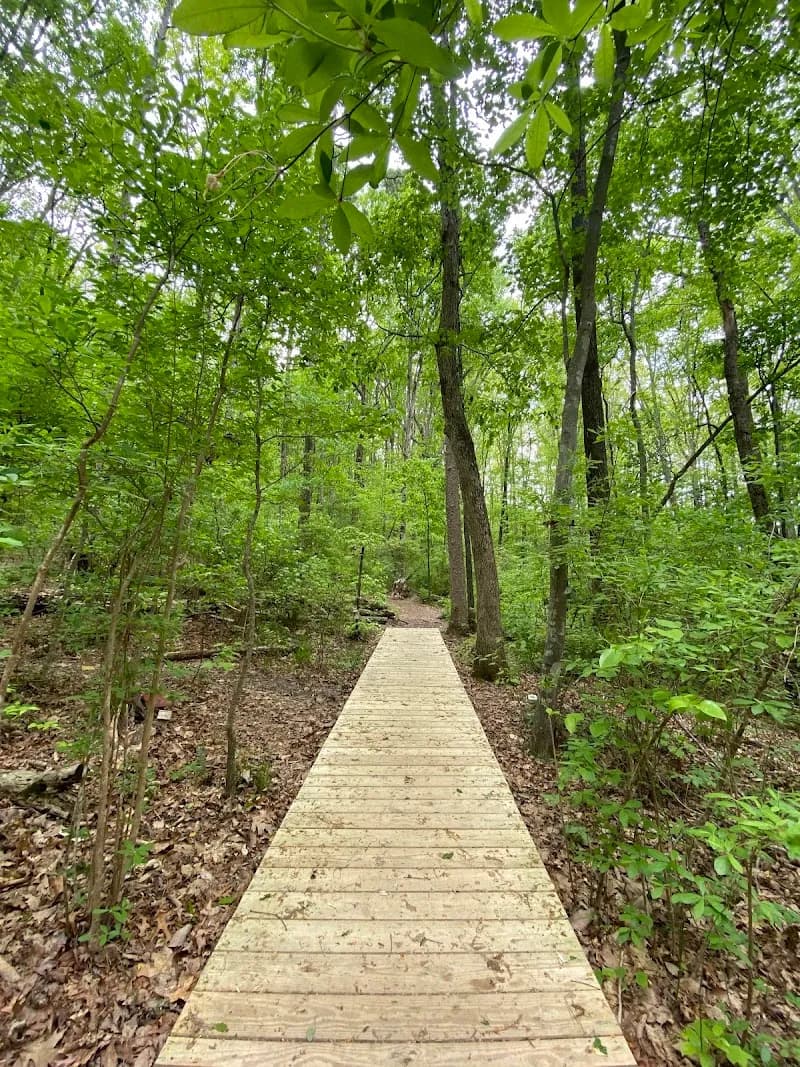 View of Sawnee Mt. Preserve in Cumming, GA