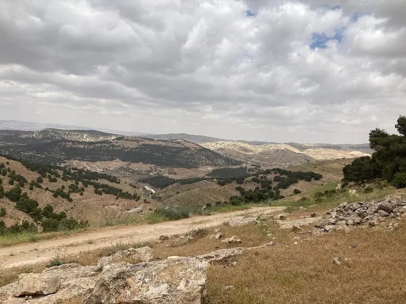 Scandinavian Forest hiking area in Sweifieh, Amman