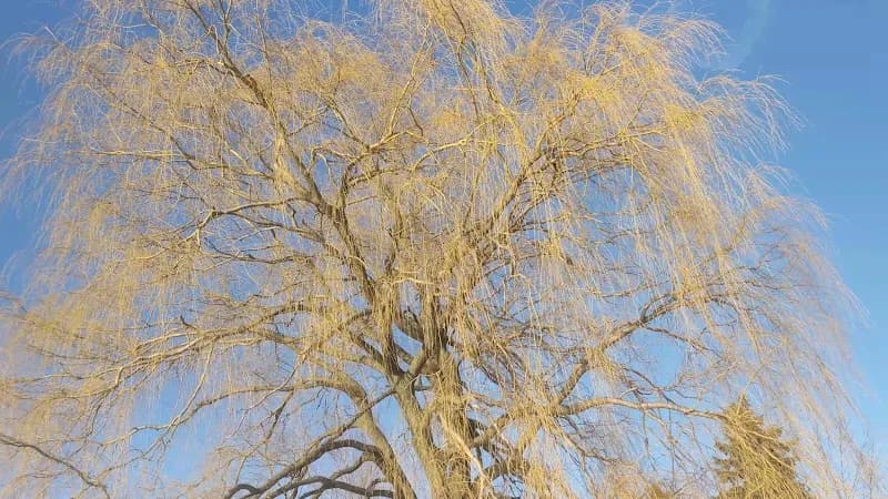 View of Scarborough Bluffs Beach in Toronto, ON