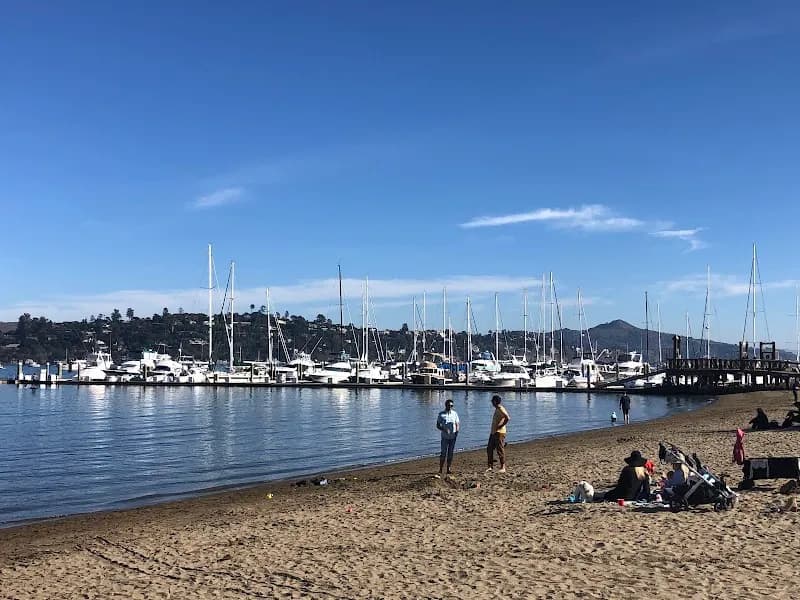 View of Schoonmaker Point Marina in Sausalito, CA