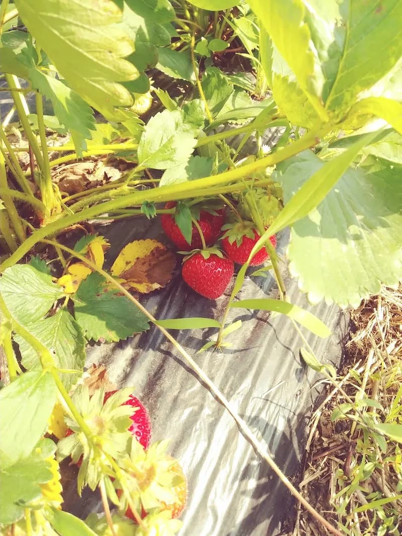 View of Schultz Valley Farms in Montgomery, OH