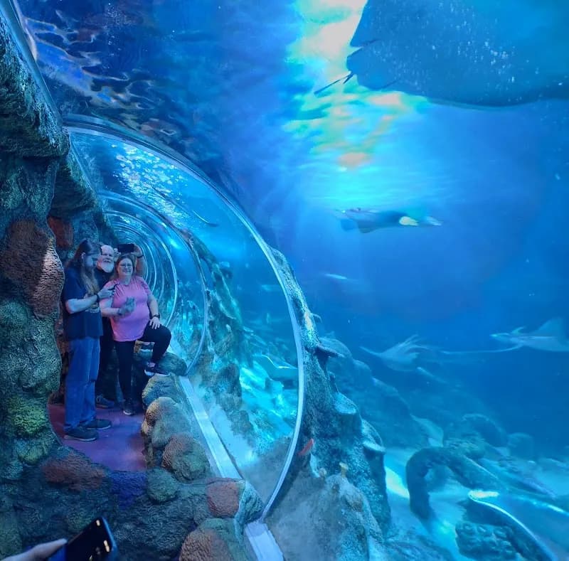 View of SEA LIFE Charlotte-Concord in Concord, NC