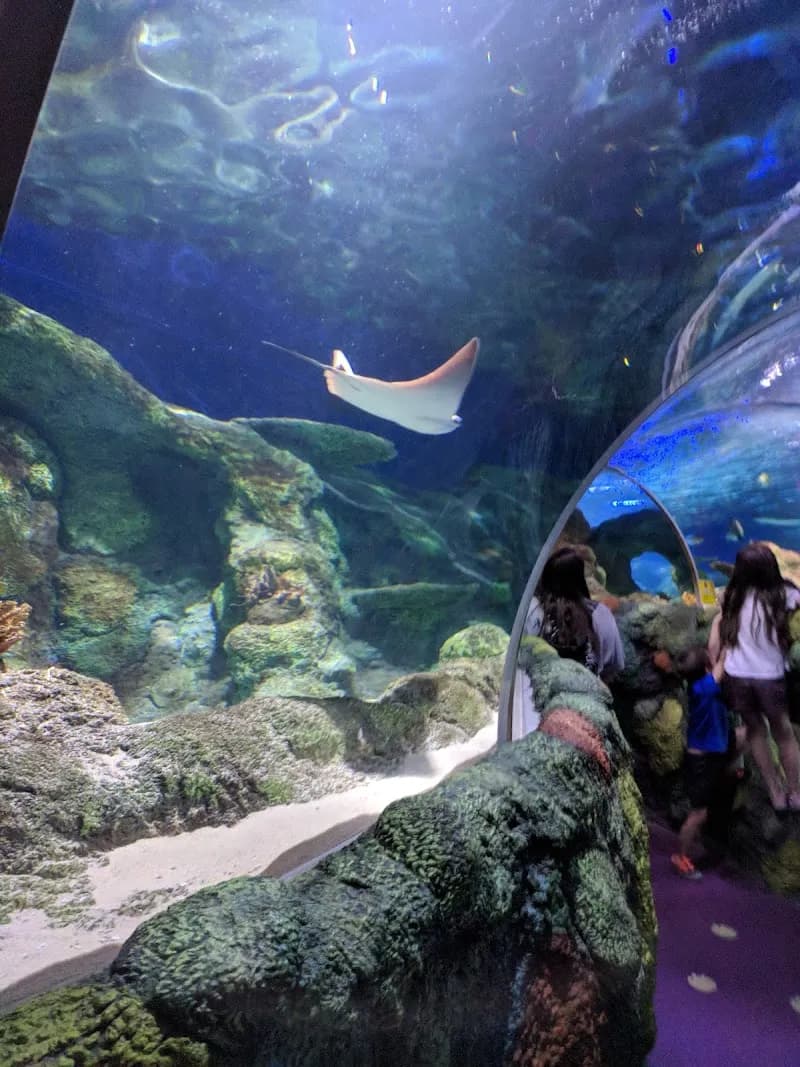 View of SEA LIFE Charlotte-Concord in Concord, NC