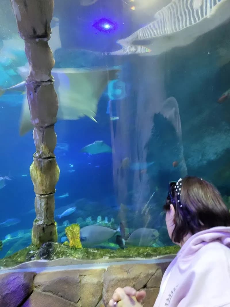 View of SEA LIFE Kansas City Aquarium in Kansas City, MO