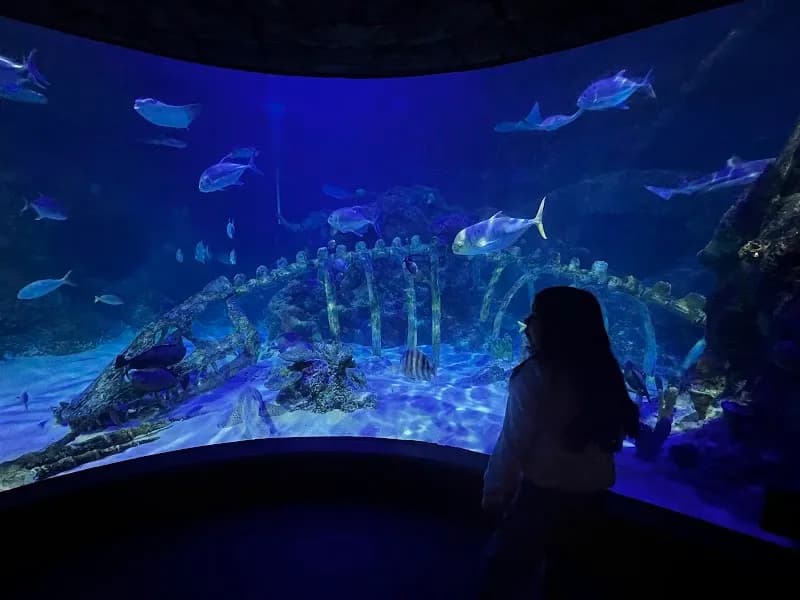 View of SEA LIFE Kansas City Aquarium in Kansas City, MO