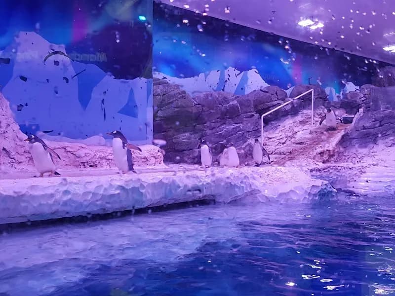 SEA LIFE Val d'Europe tourist attraction in Disneyland Paris Area (Marne-la-Vallée), IDF