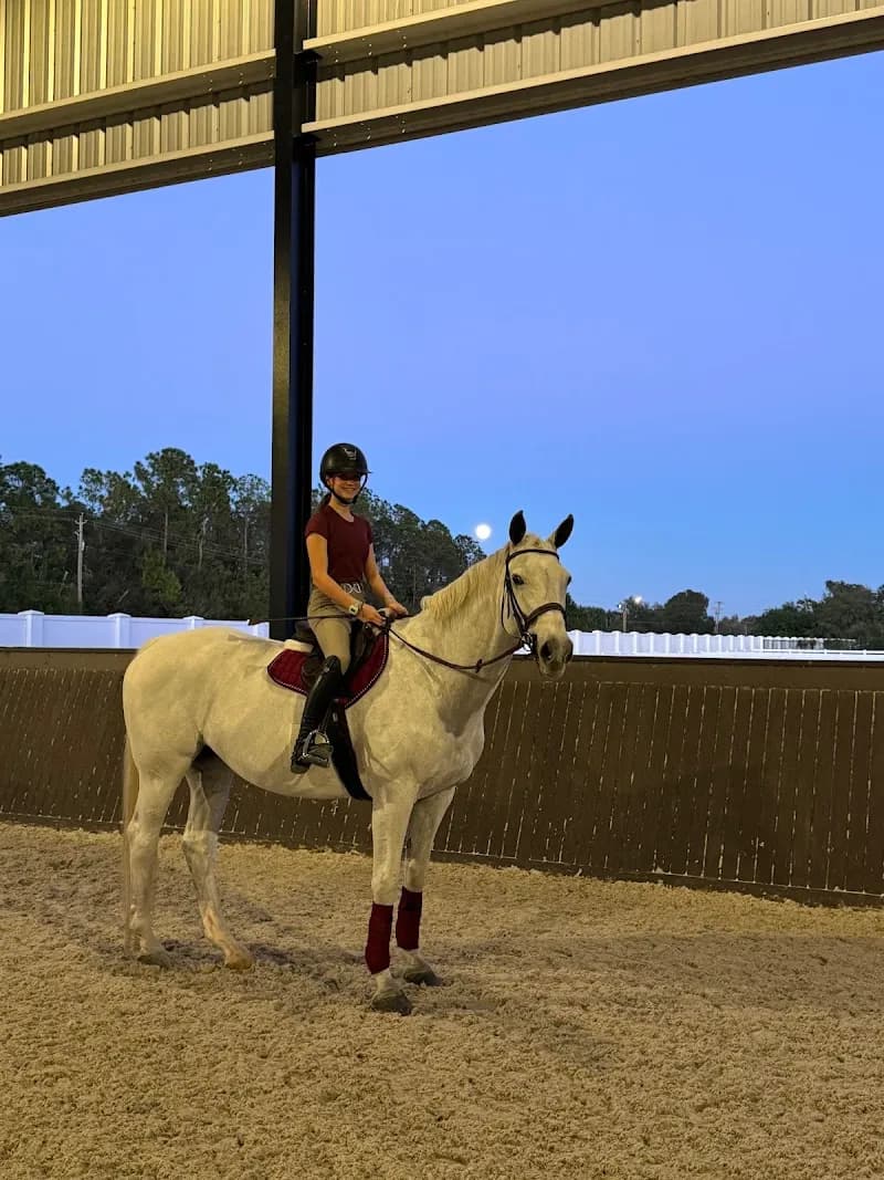 View of Sea Salt Stables in Lutz, FL