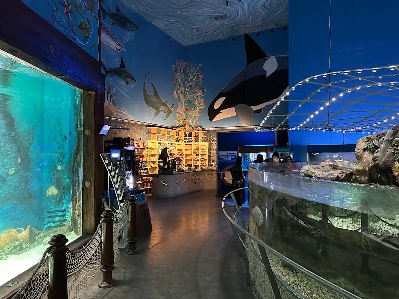 Sea World aquarium in Prague, PRG