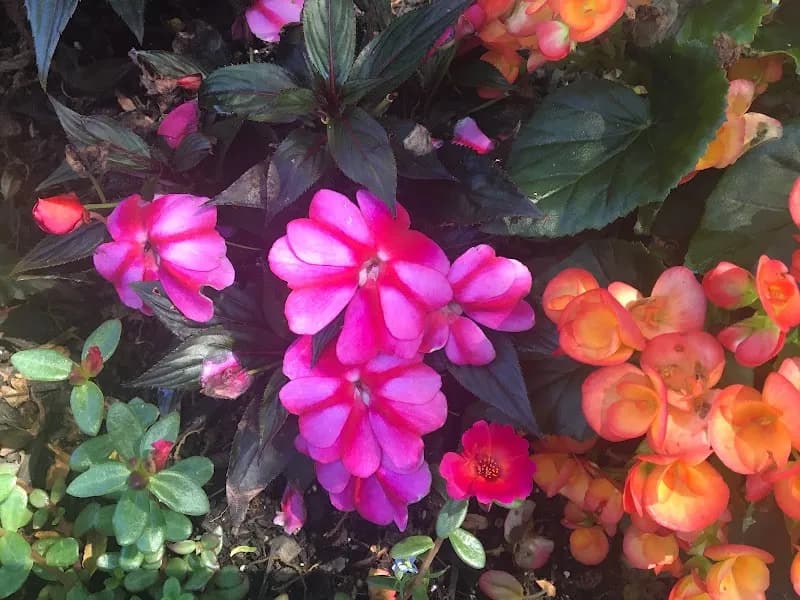 View of Secret Garden Tour In Newport RI in Newport, RI