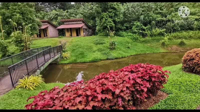 View of Seethawaka Wet Zone Botanical Gardens in Avissawella, WP