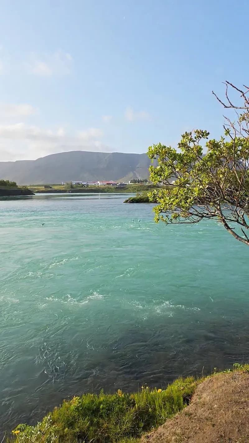 View of Seljavallakirkja Church Grounds & Trails in Selfoss, CR