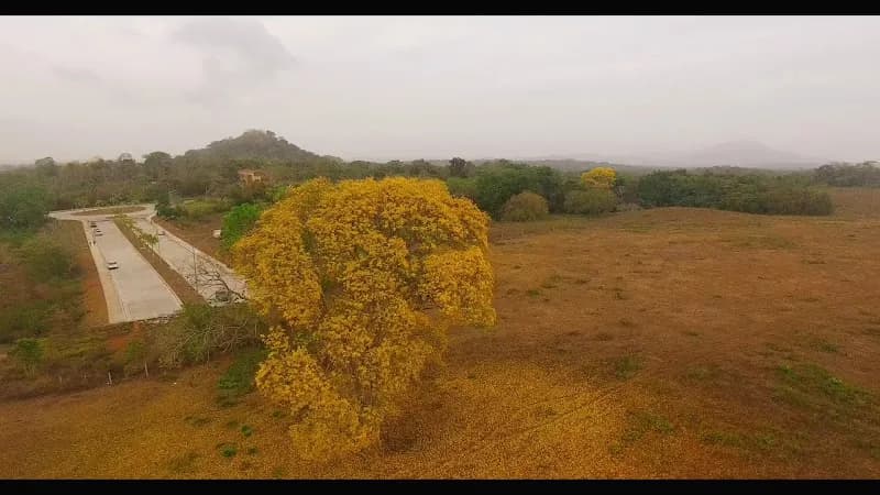 View of Sendero Ecológico Cerro Gordo, Costa Verde, La Chorrera Panamá in La Chorrera, PA