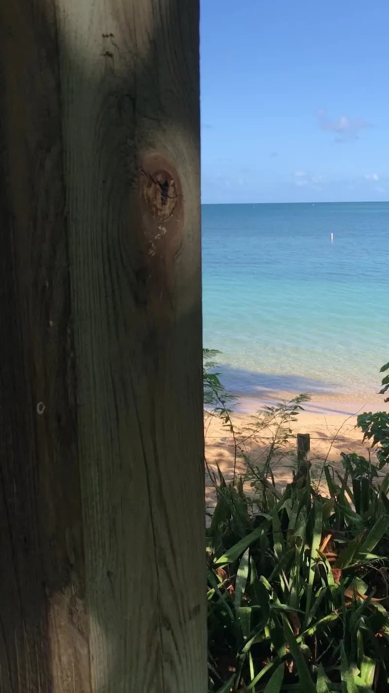 View of Sendero Las Cabezas de San Juan Trail Access in Ceiba, PR