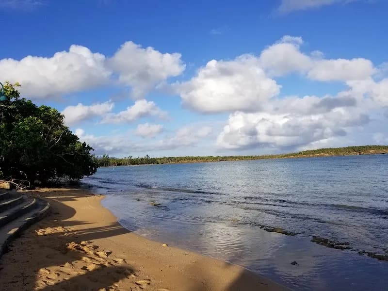 View of Sendero Las Cabezas de San Juan Trail Access in Ceiba, PR