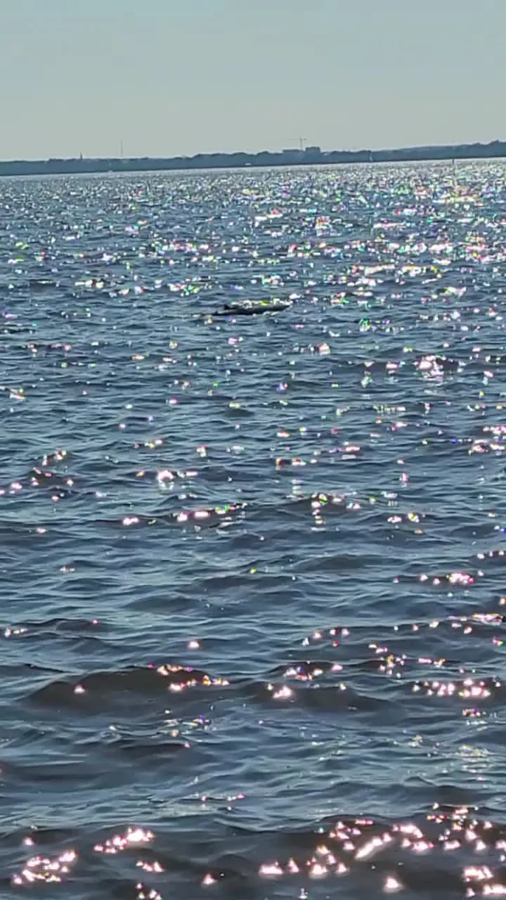 View of Senneville Park in Senneville, QC