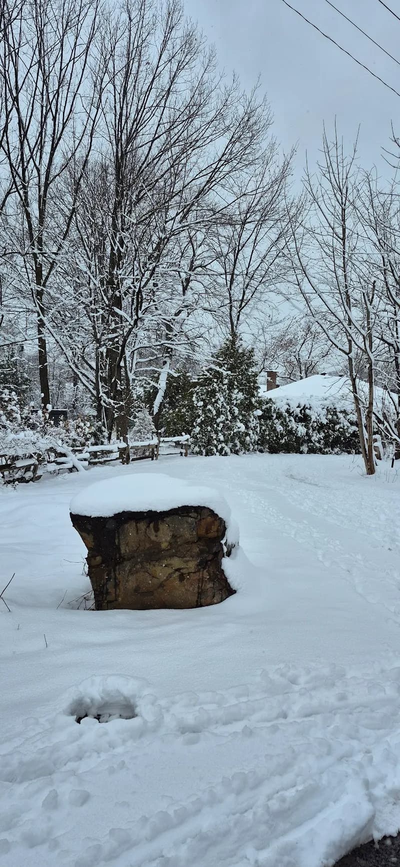 View of Sentier de la Coulée Verte in Saint-Lambert, QC
