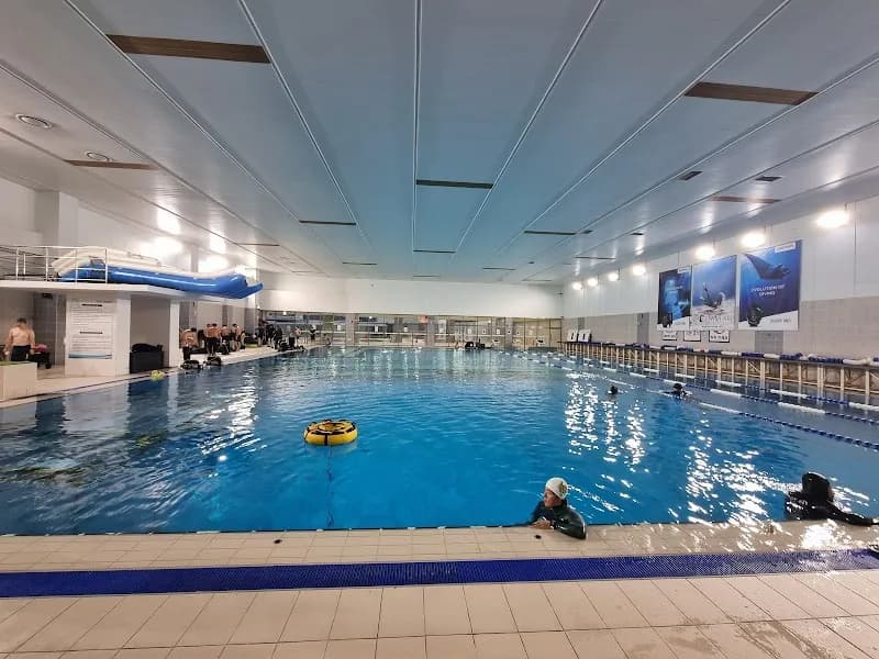 Seongnam Complex Sport Center Swimming Pool (50m) swimming pool in Bundang, GG
